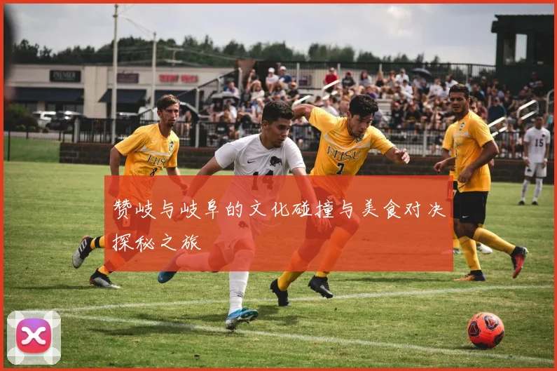 赞岐与岐阜的文化碰撞与美食对决探秘之旅